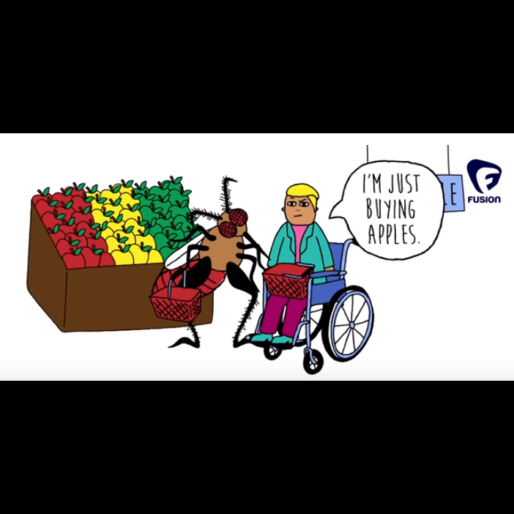 Vignetta di una enorme zanzara che punge una persona in carrozzina vicino a bancarelle di frutta. La persona dice "I am only buying apples".